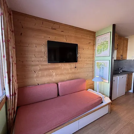 Cosy A La Plagne, Proche Pistes - Animaux Admis - Fr-1-353-50 Apartment La Plagne